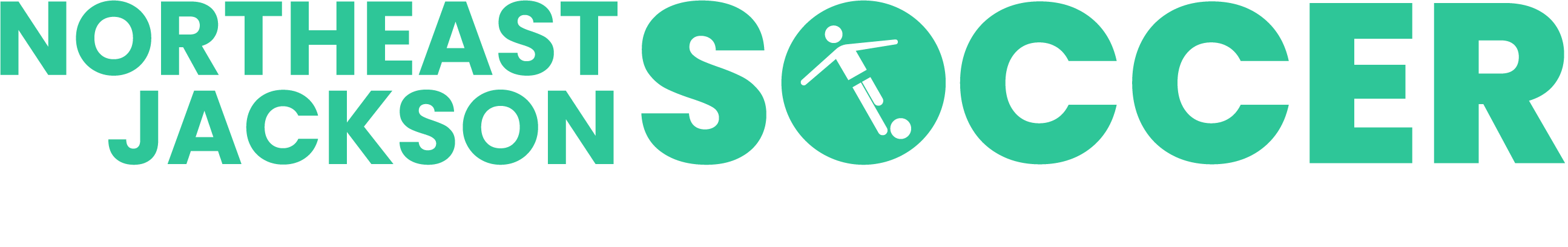 NEJSO bumper sticker: Your kids deserve a good kick in the grass